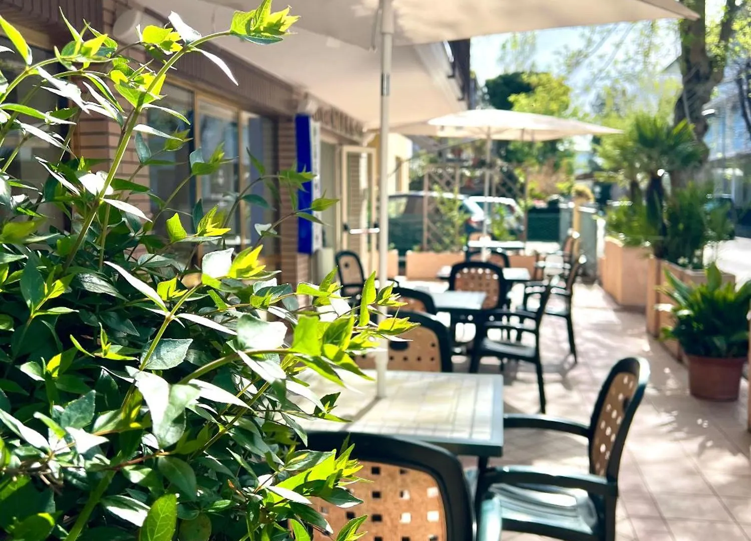 Hotel B&B Ardea 里米尼