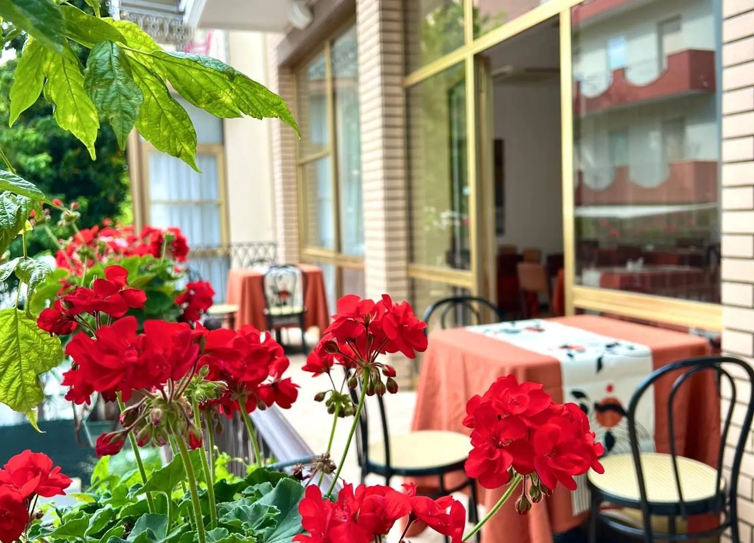 Hotel B&B Ardea 里米尼
